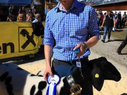 2019_ausstellung polling_460